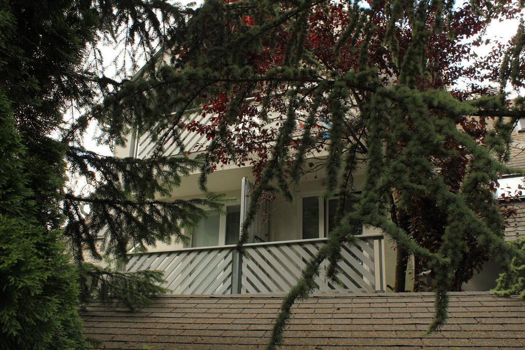 Vila Apartment Bled Lake Exterior foto